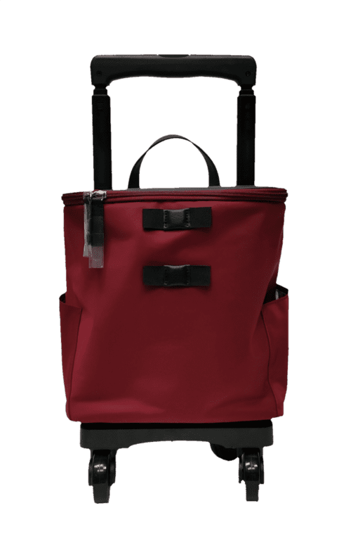 swany bag red
